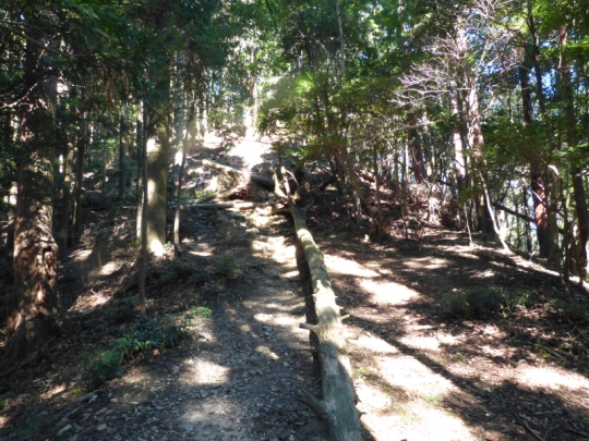 登山道